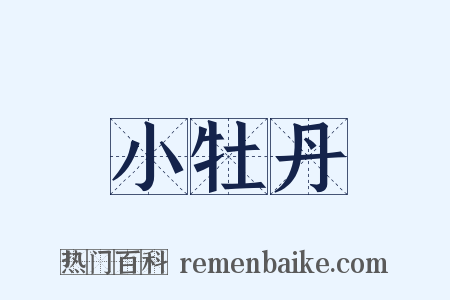小牡丹是什么意思的图片